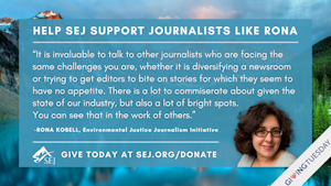 Fundraiser graphic for Rona Kobell